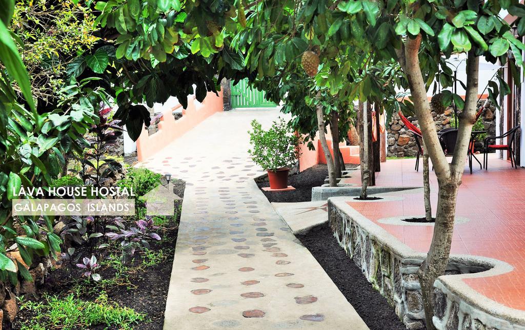 Lava House Hostal Puerto Ayora  Exterior foto